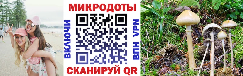 Галлюциногенные грибы Psilocybine cubensis  KRAKEN ССЫЛКА  Петушки  как найти закладки 